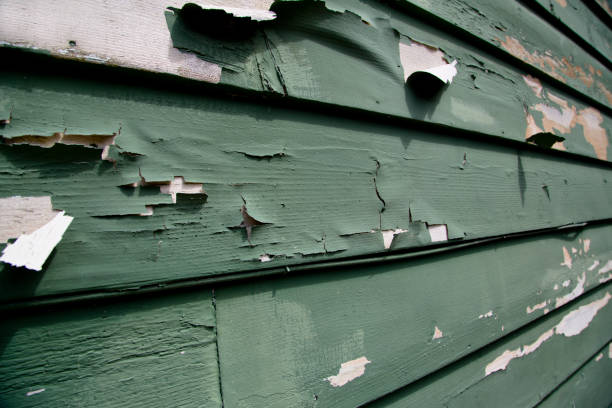 Best Custom Siding Design  in Leisuretowne, NJ