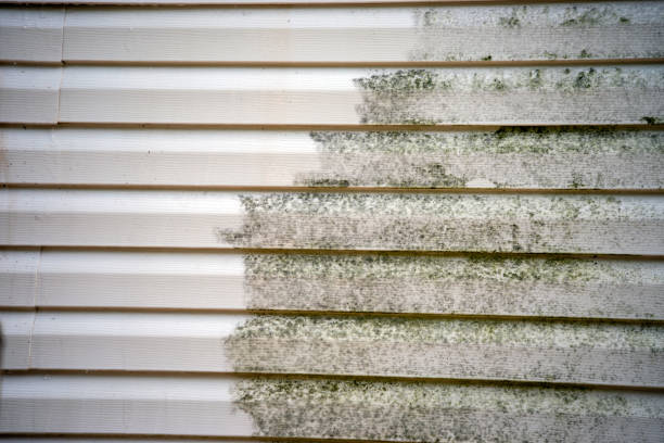 Best James Hardie Siding  in Leisuretowne, NJ