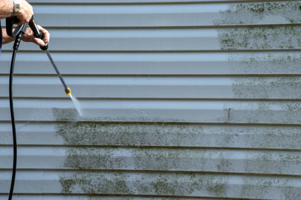 Best Engineered Wood Siding  in Leisuretowne, NJ