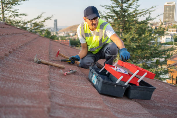 Best Fiber Cement Siding Installation  in Leisuretowne, NJ